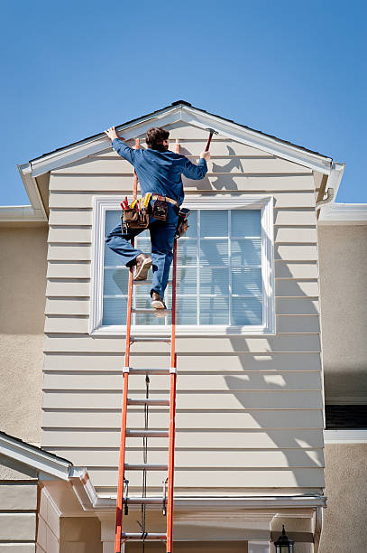 Best Custom Siding Design  in East Speer, NC